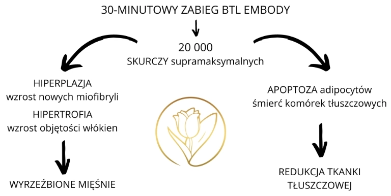 diagram zabiegu btl embody